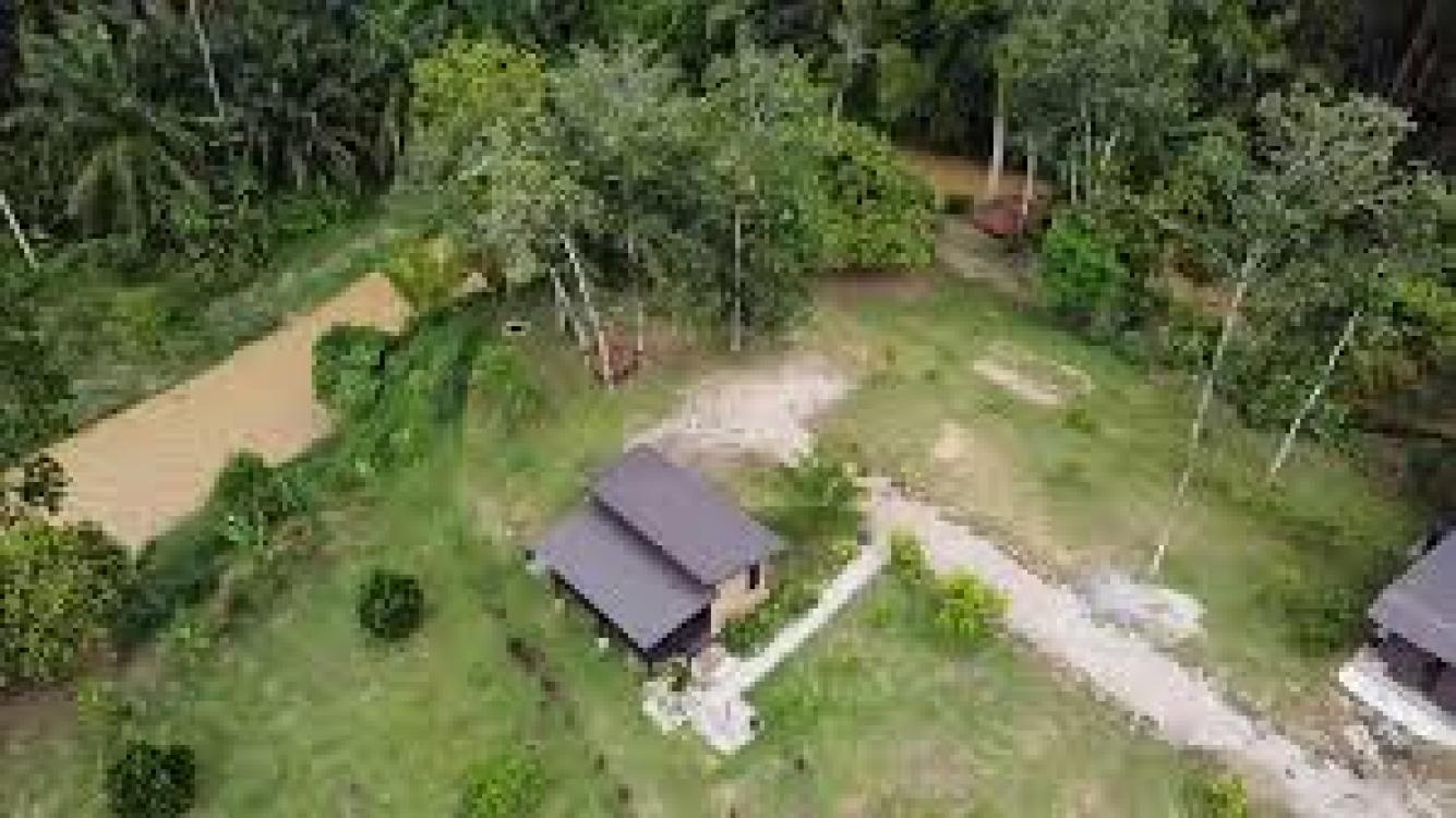 Laman Eden Campsite Kepis | Escabee.com
