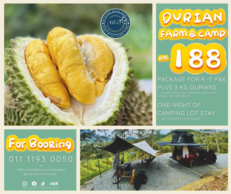 GLO Durian Farm & Camp | Escabee.com