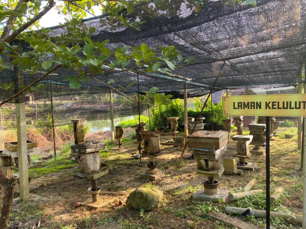 Kebun Teras Dimensi | Escabee.com