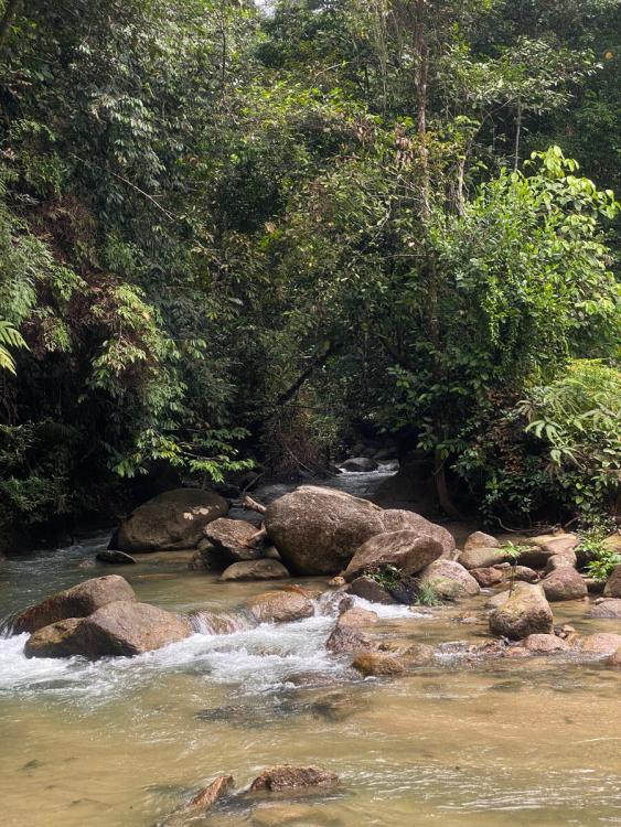 Tupai Emas Campsite | Escabee.com