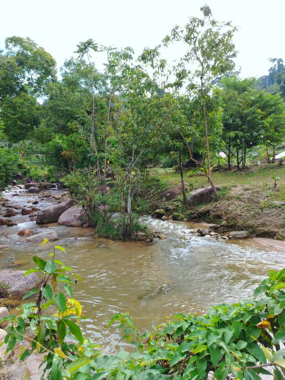 SZ Chalet and Camping (Kebun Tokwan) | Escabee.com