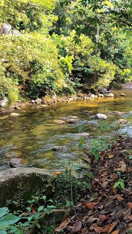 Chor River Campsite Vol 2 | Escabee.com