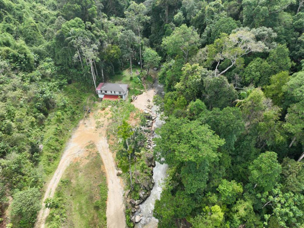 Tanah Chik | Escabee.com