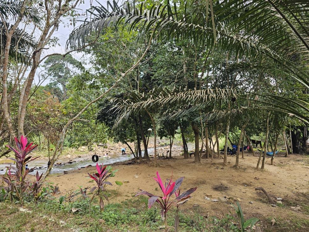 Beratap Sawit Campsite | Escabee.com