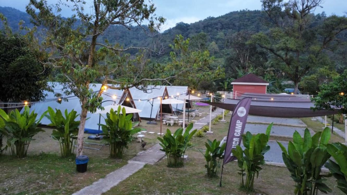 De Star Glamping | Escabee.com
