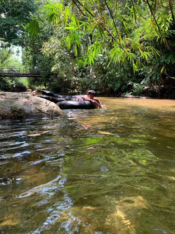 Rimba Jelai Cabin & Wild Camping | Escabee.com