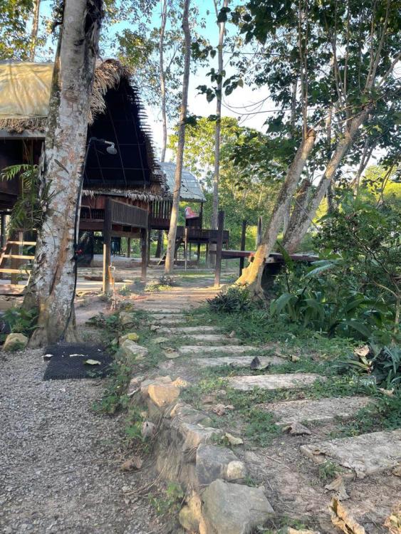 Jerumun Campsite | Escabee.com