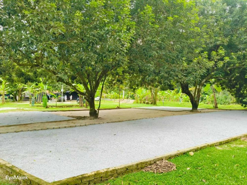 Dusun Apak Kawww | Escabee.com