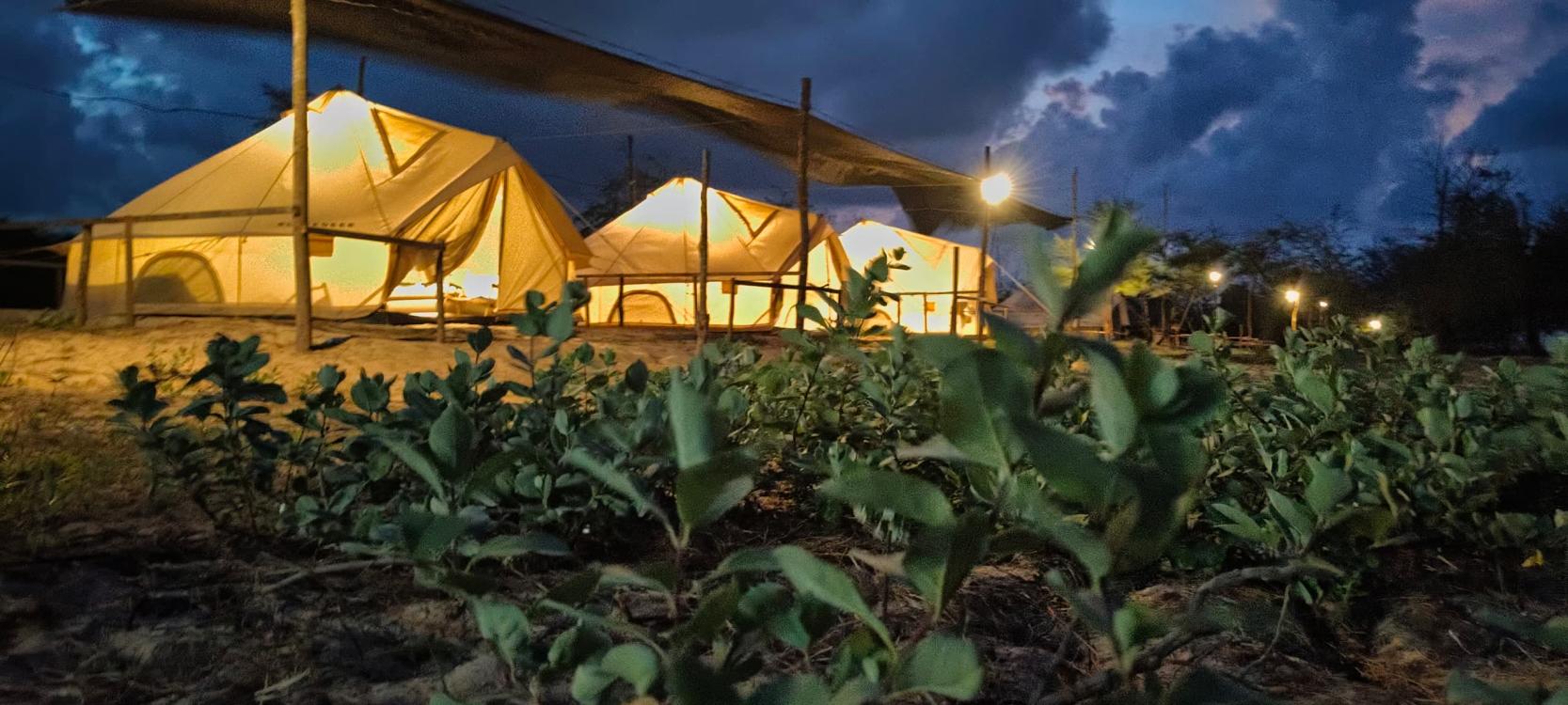 Beting Lintang Campsite & Glamping Park | Escabee.com