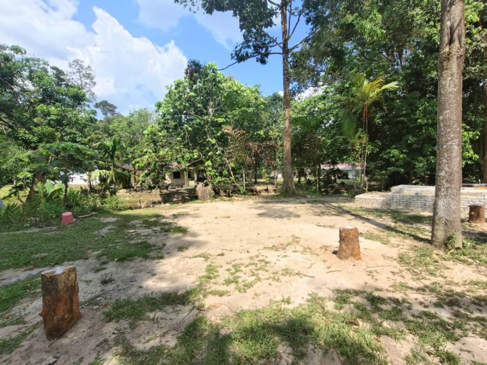 Ecotouria Sungai Congkak | Escabee.com