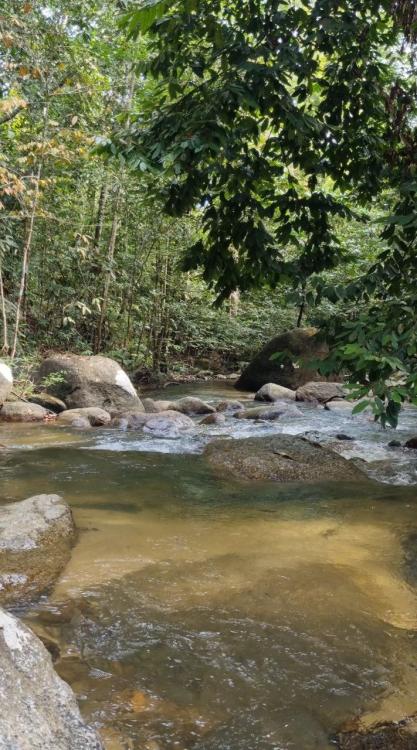 Port Rahsia Campsite | Escabee.com