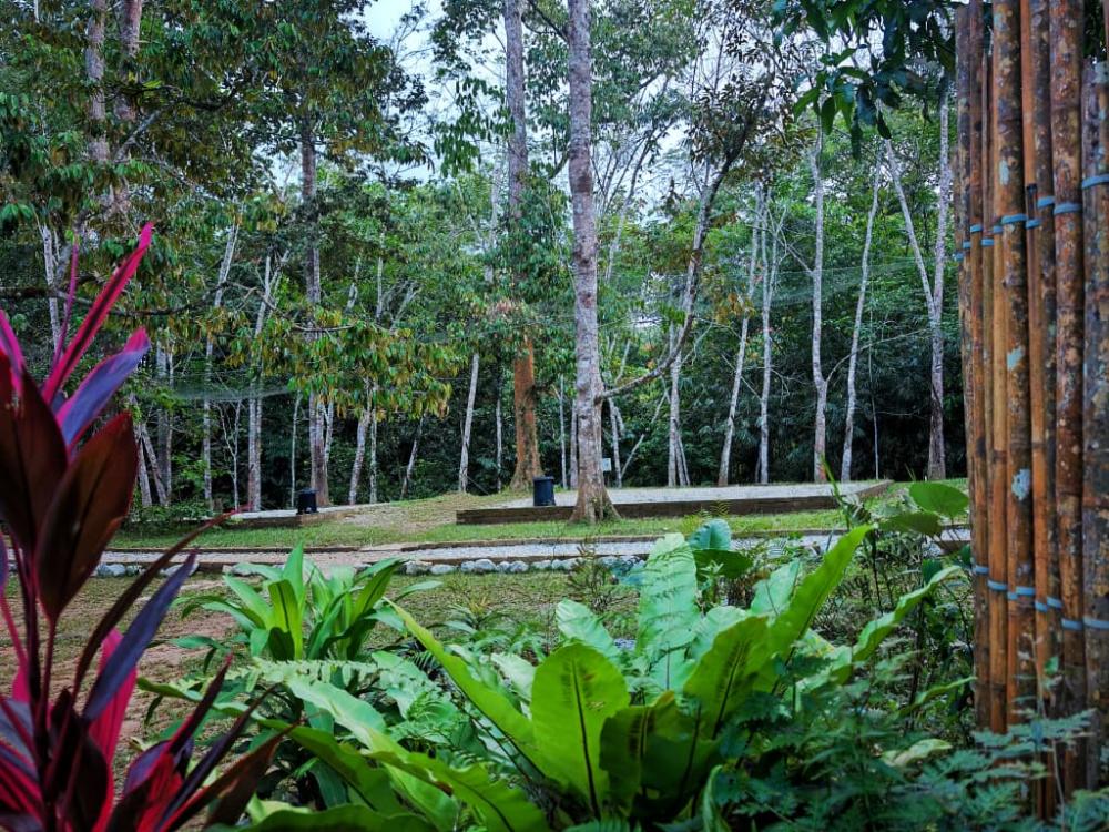 Santai Dusun Campsite | Escabee.com