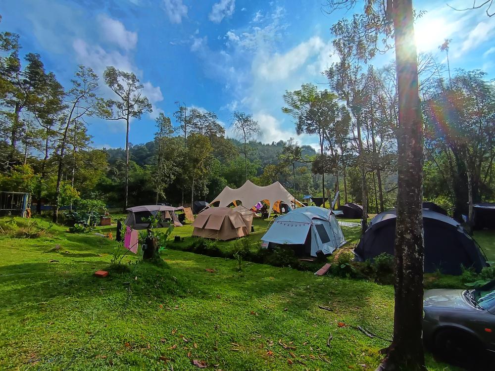 Masha And The Bear Garden & Campsite, Ulu Sepri | Escabee.com