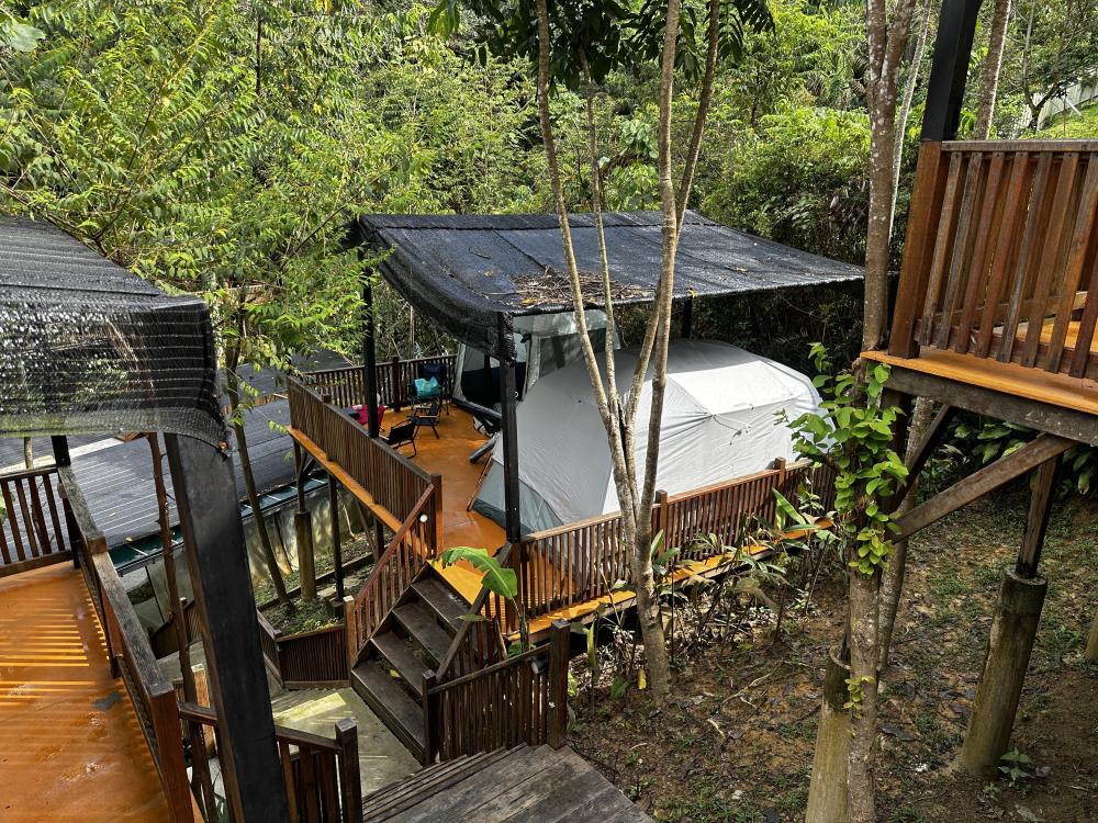 Rasa Hill | Escabee.com