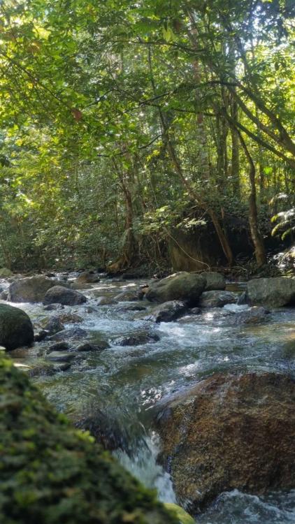 Port Rahsia Campsite | Escabee.com