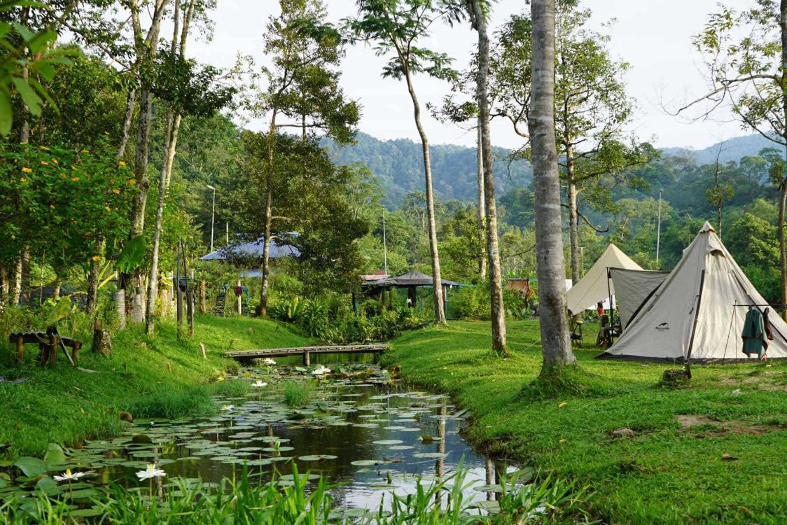Masha And The Bear Garden & Campsite, Ulu Sepri | Escabee.com