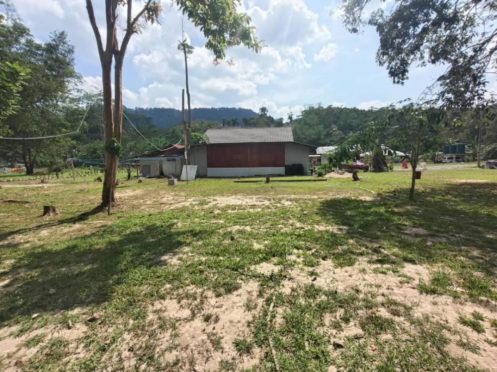 Ecotouria Sungai Congkak | Escabee.com