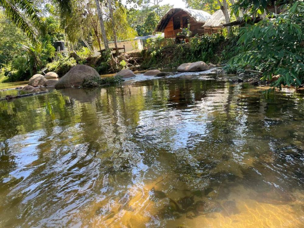 Jerumun Campsite | Escabee.com