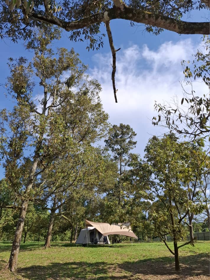 Dusun 9912 is a campsite located in a durian farm at Broga.