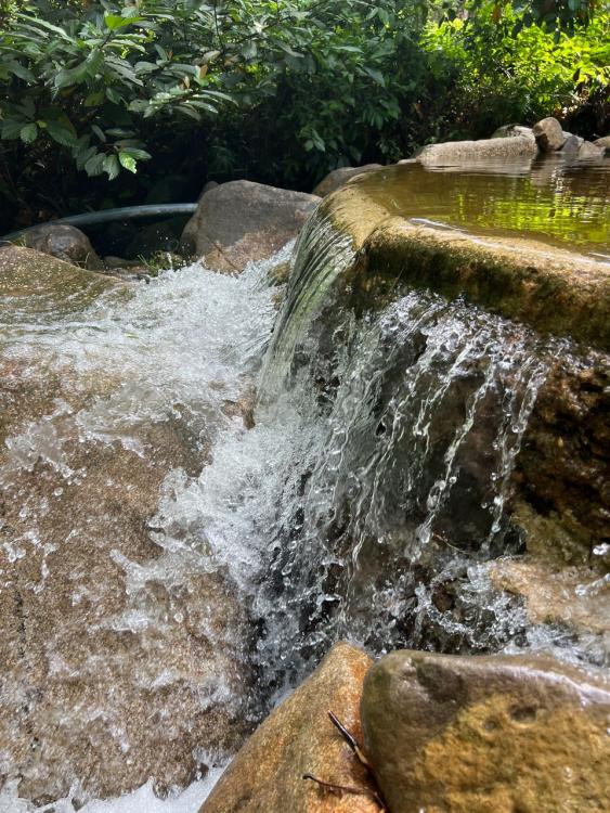 Jerai Nature Glamping | Escabee.com