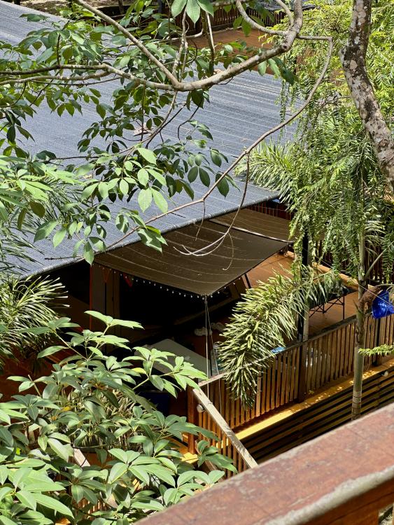 Rasa Hill | Escabee.com