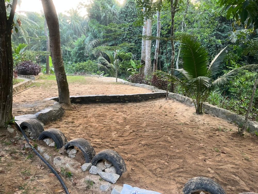 Laman Eden Campsite Kepis | Escabee.com