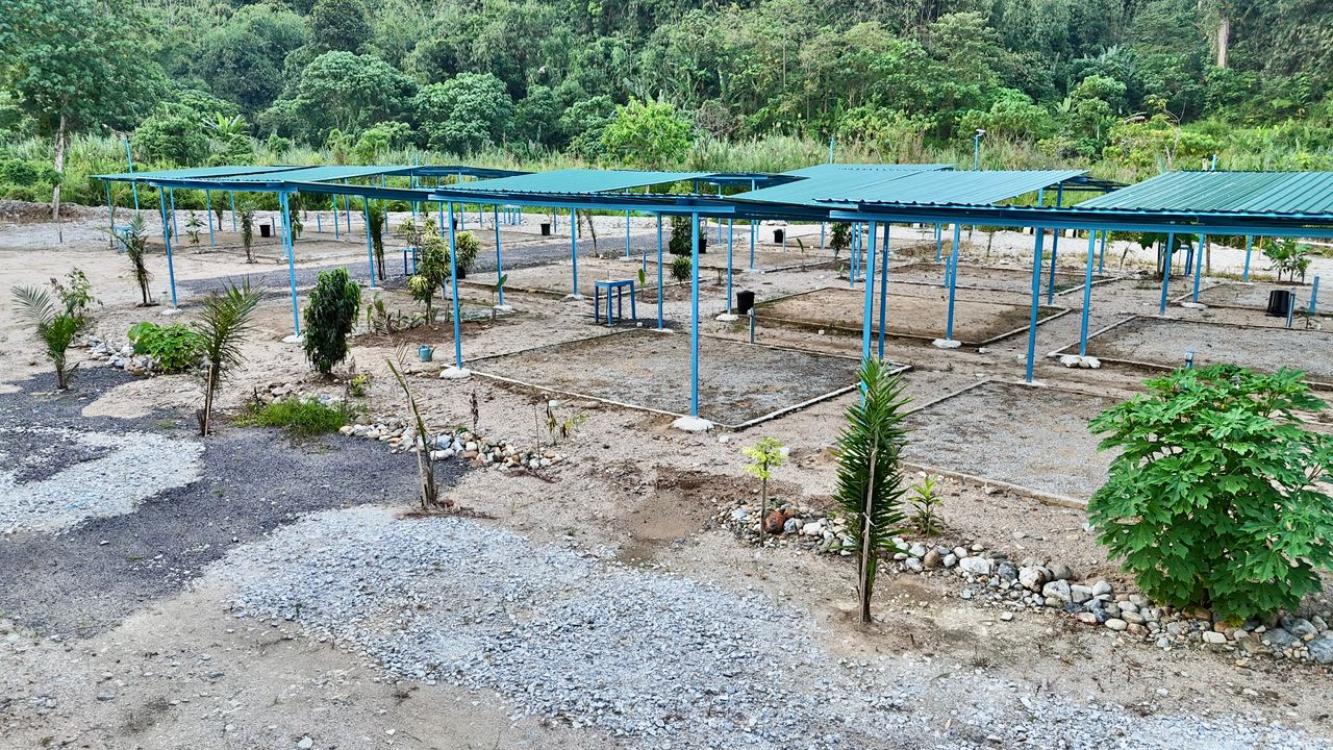 D' Chingu Nature Campsite | Escabee.com