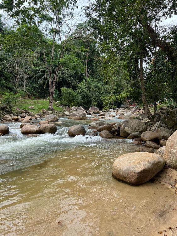 Lata Felda Lawin Selatan | Escabee.com