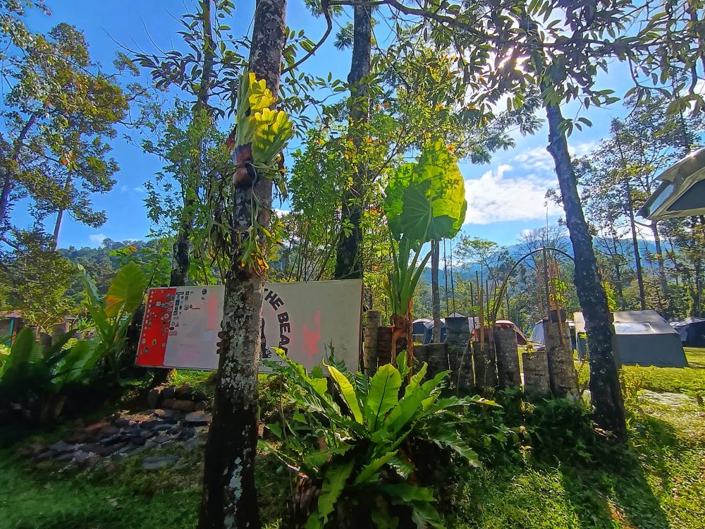 Masha And The Bear Garden & Campsite, Ulu Sepri | Escabee.com