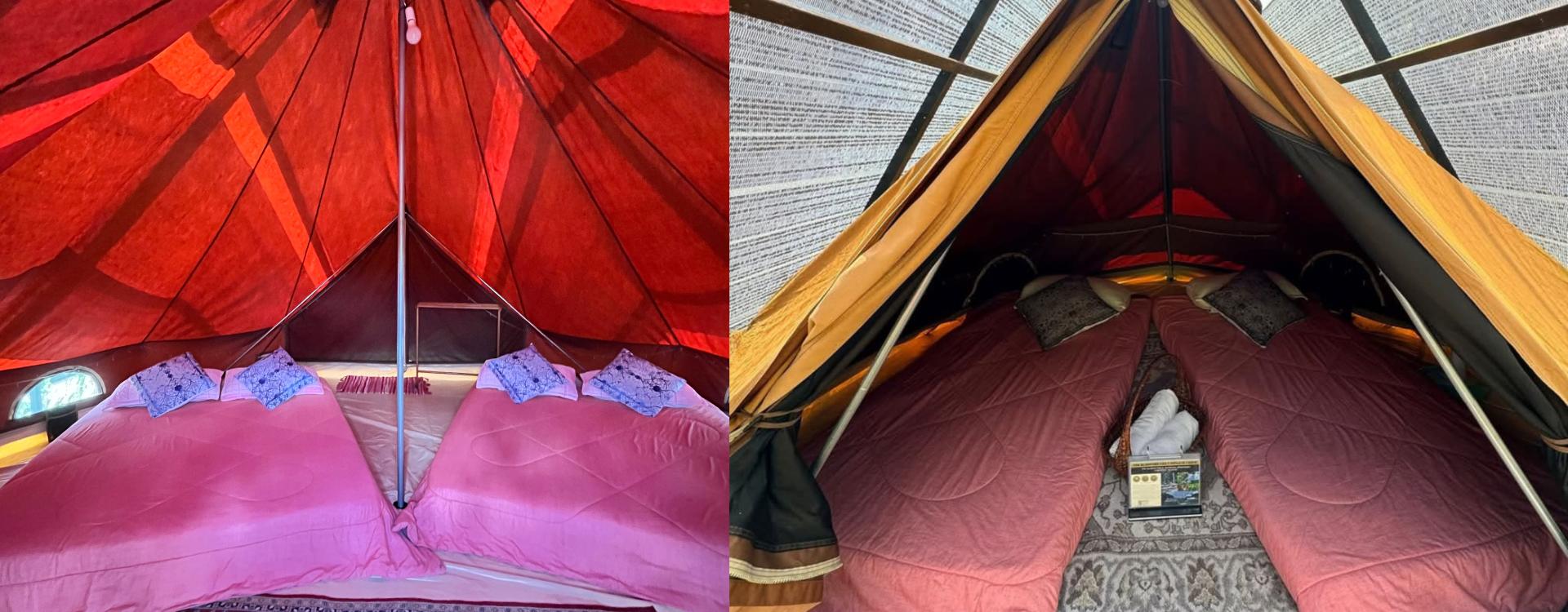 The Backyard Glamping Cameron Highlands | Escabee.com