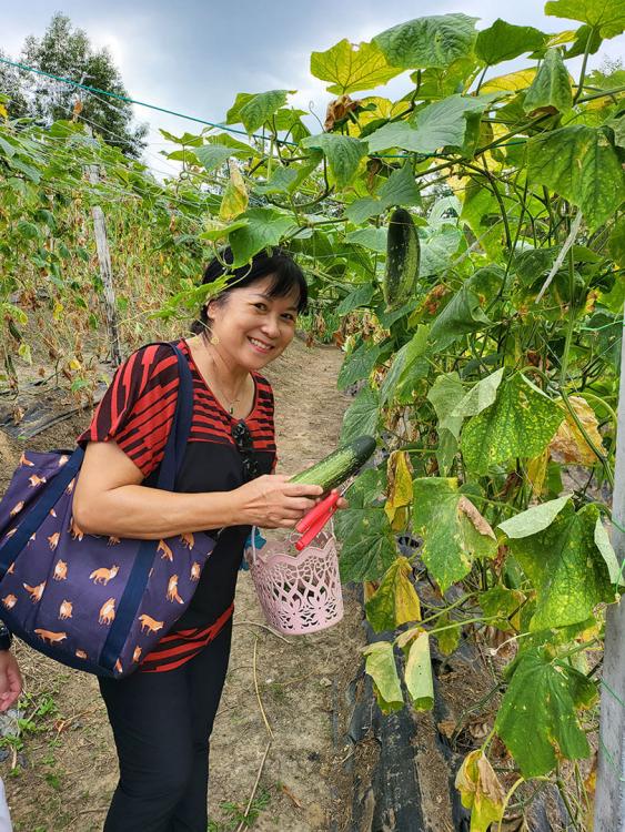 Happy Harvest Campz | Escabee.com