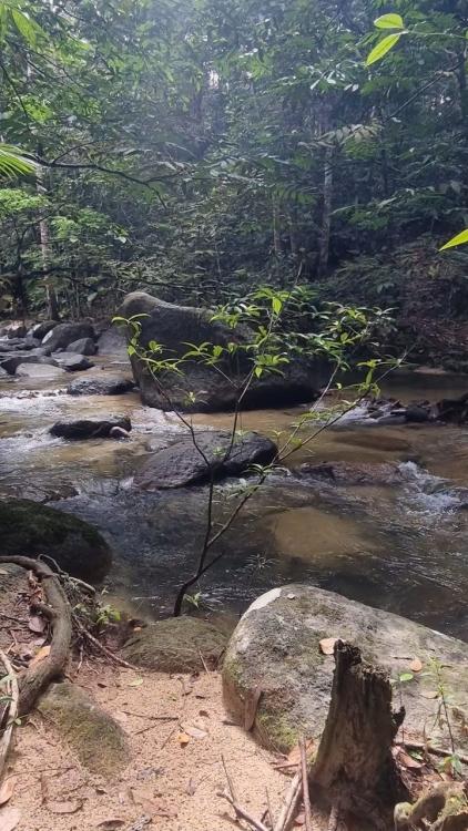 Port Rahsia Campsite | Escabee.com