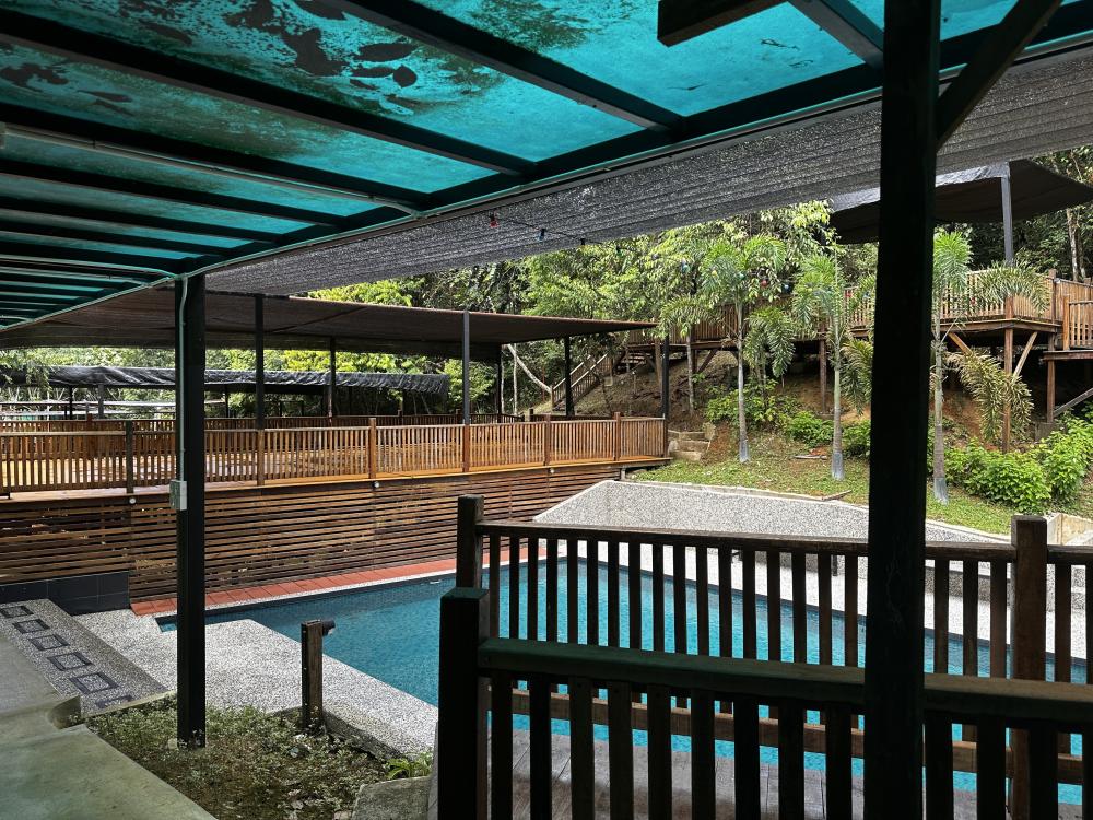 Rasa Hill | Escabee.com