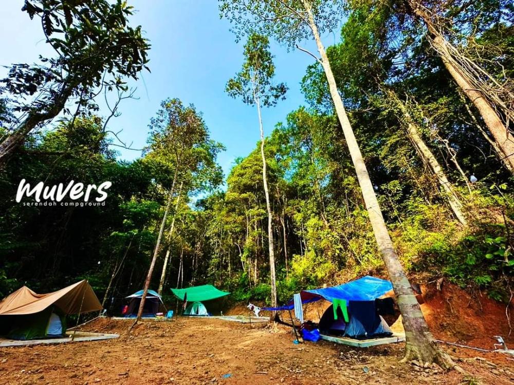 Muvers Campsite | Escabee.com