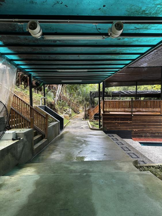 Rasa Hill | Escabee.com
