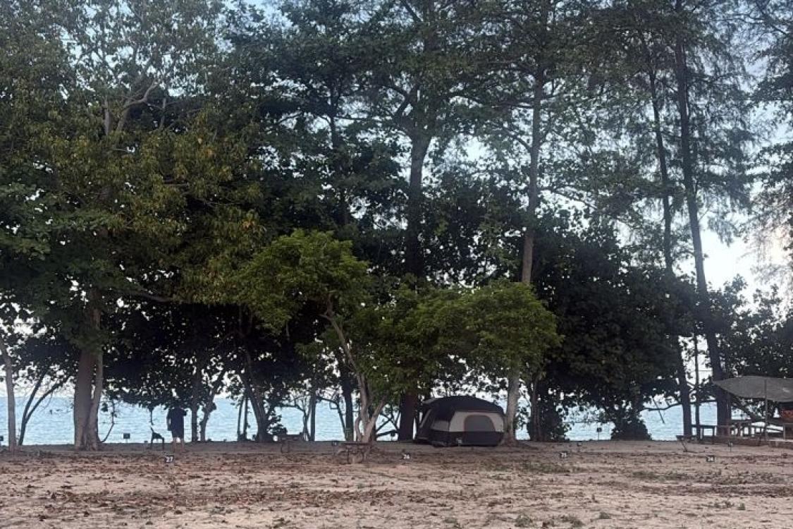 Ali Camp | Escabee.com