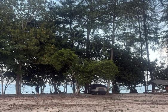 Ali Camp