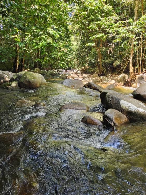 Laman Rindu Campsite, Sg Bil | Escabee.com