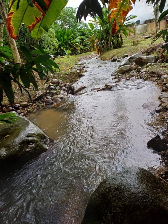 Lemuni Janda Baik Campsite | Escabee.com