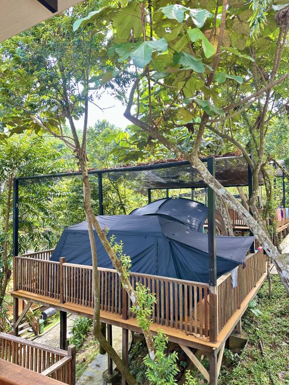 Rasa Hill | Escabee.com