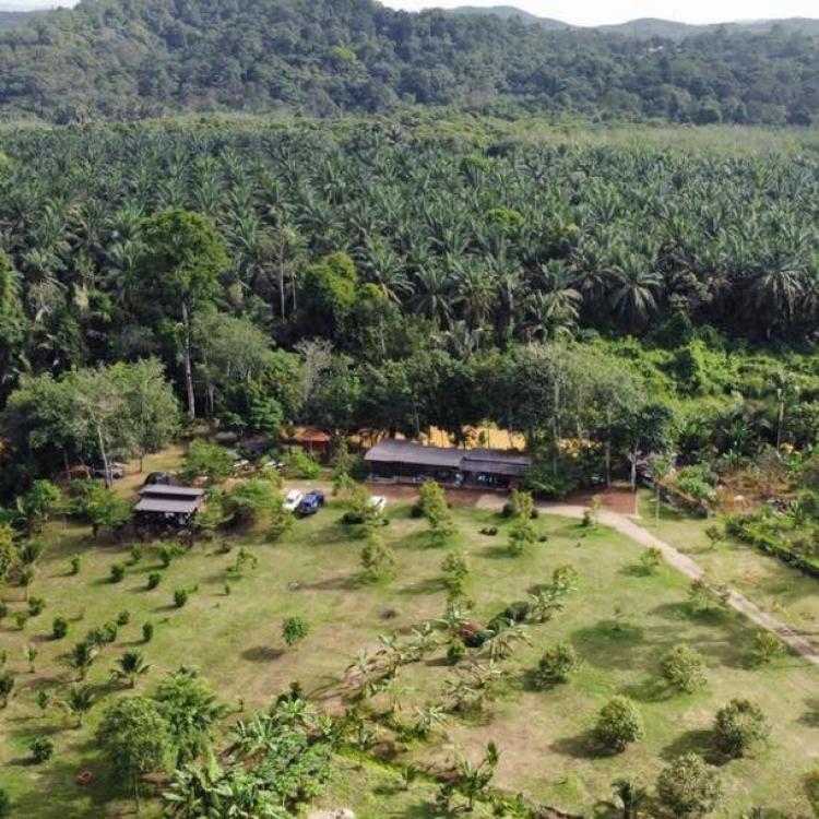 Laman Eden Campsite Kepis | Escabee.com