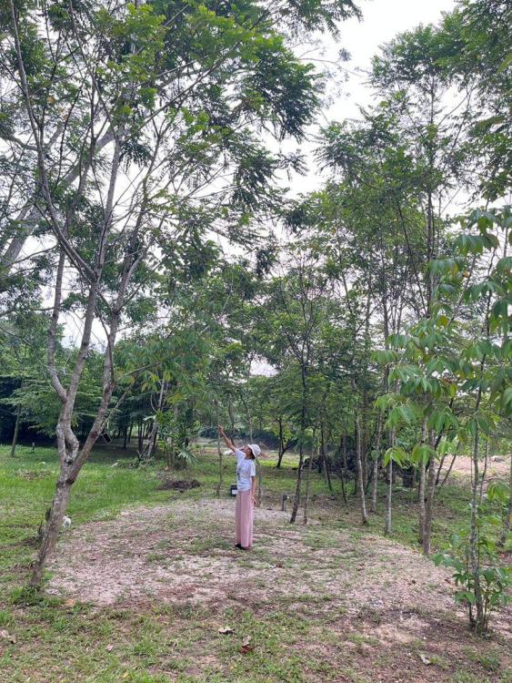 De Sunny Farm and Resort | Escabee.com