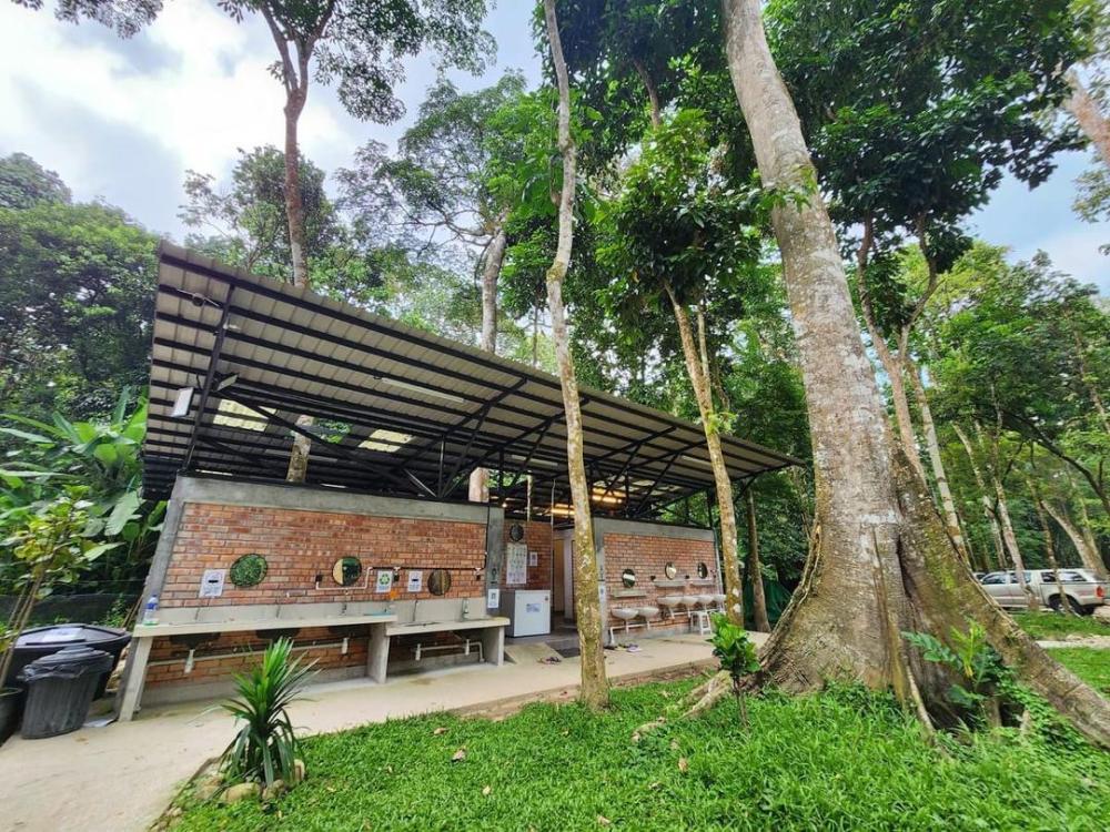 Forest 8 Senses | Escabee.com