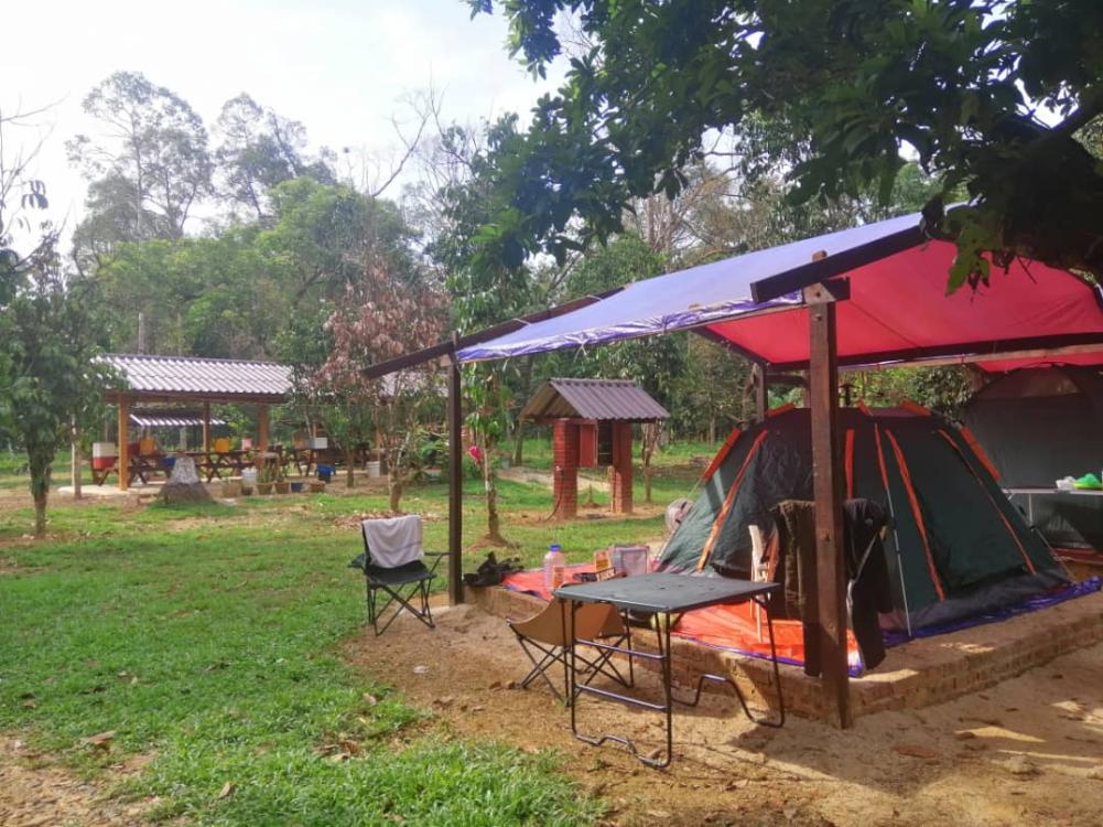 Bayu Sekebun Pohon Campsite | Escabee.com