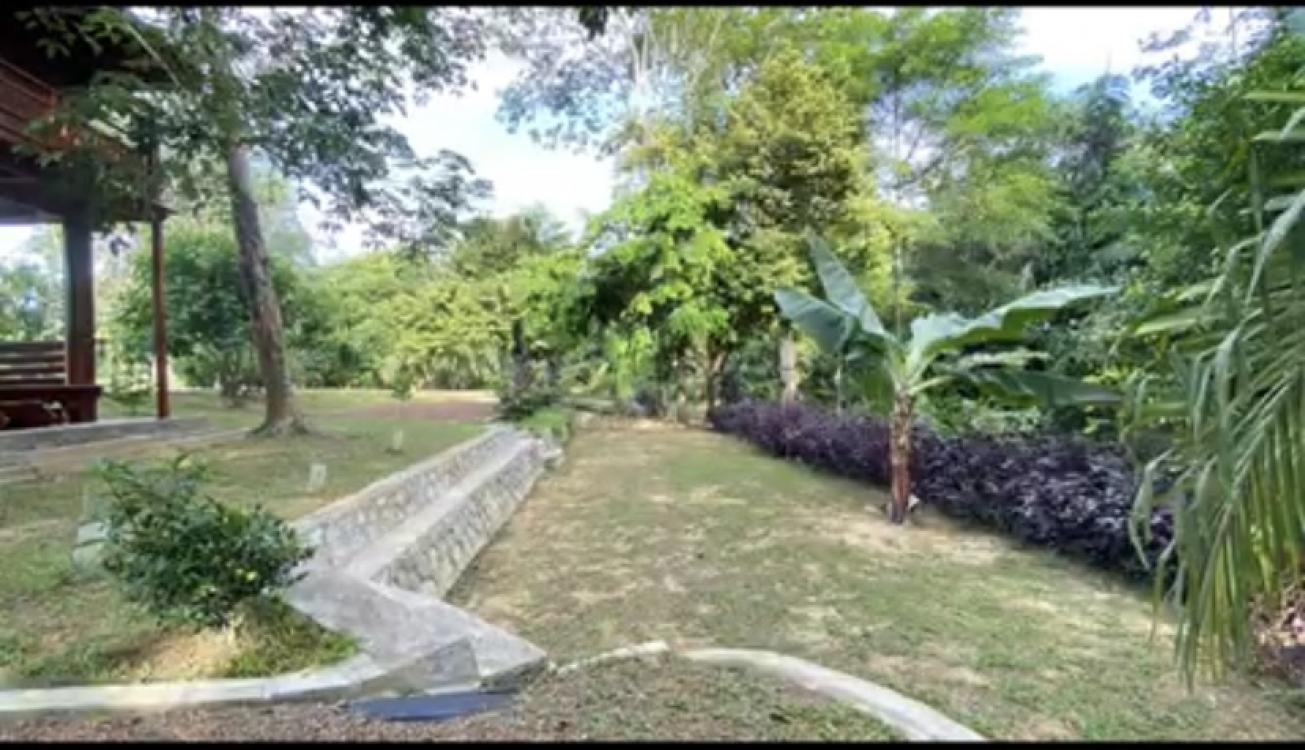Laman Eden Campsite Kepis | Escabee.com