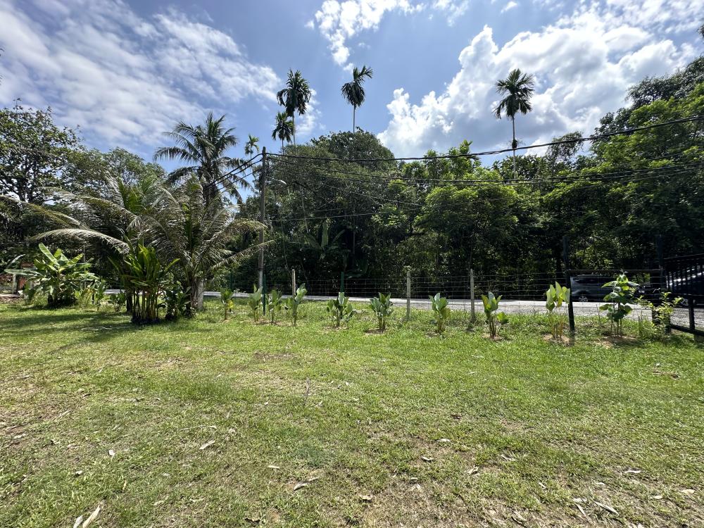 Sg Bil Garden Campsite | Escabee.com