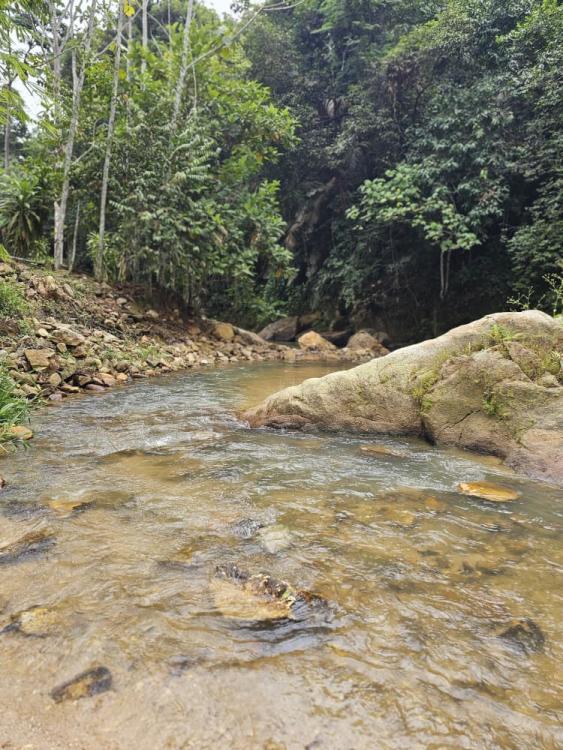 Mori Leka Campsite | Escabee.com