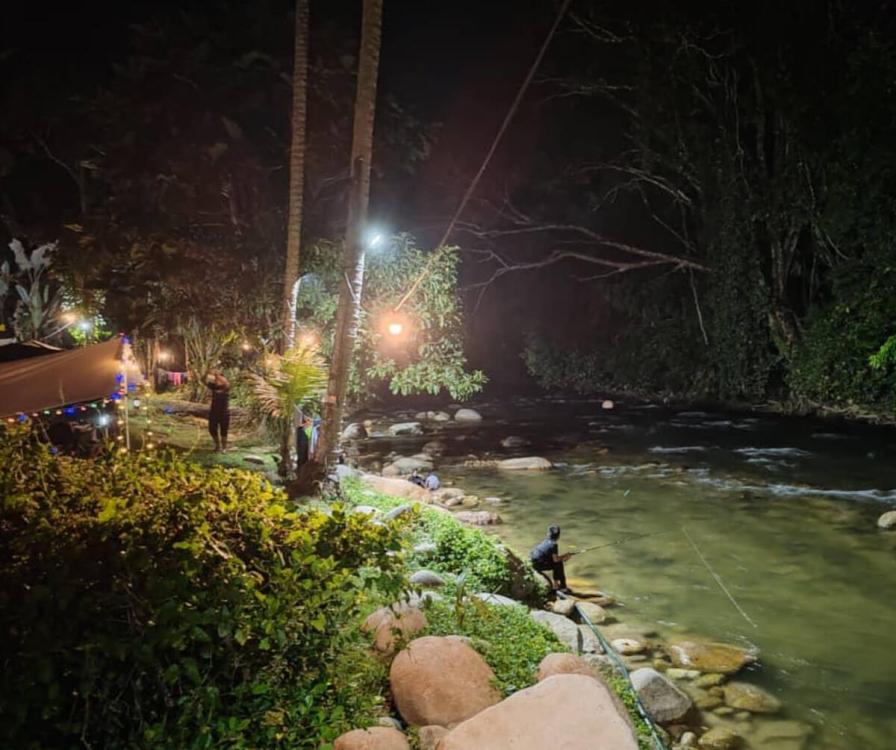 Gopeng Tree Tent | Escabee.com