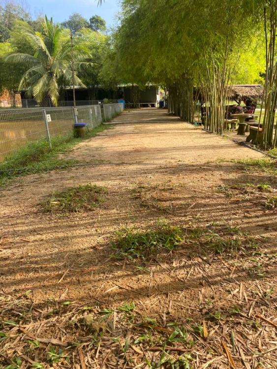 Kebun Teras Dimensi | Escabee.com