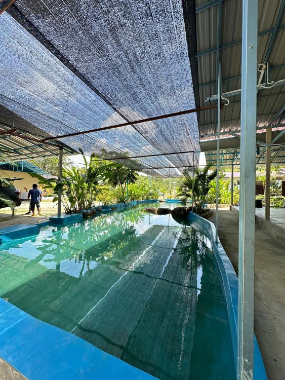 GPHV Agrofarm & Campsite | Escabee.com